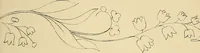 An illustration from Briggs & Co.'s patent transferring papers : protected by Her Most Gracious Majesty's royal letters patent (1880)