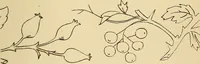 An illustration from Briggs & Co.'s patent transferring papers : protected by Her Most Gracious Majesty's royal letters patent (1880)