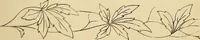 An illustration from Briggs & Co.'s patent transferring papers : protected by Her Most Gracious Majesty's royal letters patent (1880)