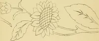 An illustration from Briggs & Co.'s patent transferring papers : protected by Her Most Gracious Majesty's royal letters patent (1880)