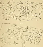 An illustration from Briggs & Co.'s patent transferring papers : protected by Her Most Gracious Majesty's royal letters patent (1880)