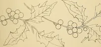 An illustration from Briggs & Co.'s patent transferring papers : protected by Her Most Gracious Majesty's royal letters patent (1880)