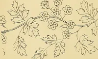 An illustration from Briggs & Co.'s patent transferring papers : protected by Her Most Gracious Majesty's royal letters patent (1880)