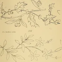 An illustration from Briggs & Co.'s patent transferring papers : protected by Her Most Gracious Majesty's royal letters patent (1880)