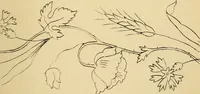 An illustration from Briggs & Co.'s patent transferring papers : protected by Her Most Gracious Majesty's royal letters patent (1880)