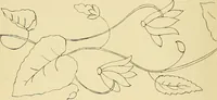 An illustration from Briggs & Co.'s patent transferring papers : protected by Her Most Gracious Majesty's royal letters patent (1880)
