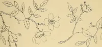 An illustration from Briggs & Co.'s patent transferring papers : protected by Her Most Gracious Majesty's royal letters patent (1880)