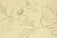 An illustration from Briggs & Co.'s patent transferring papers : protected by Her Most Gracious Majesty's royal letters patent (1880)