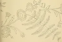 An illustration from Briggs & Co.'s patent transferring papers : protected by Her Most Gracious Majesty's royal letters patent (1880)