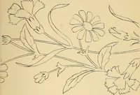 An illustration from Briggs & Co.'s patent transferring papers : protected by Her Most Gracious Majesty's royal letters patent (1880)