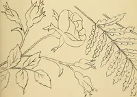 An illustration from Briggs & Co.'s patent transferring papers : protected by Her Most Gracious Majesty's royal letters patent (1880)