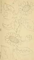 An illustration from Briggs & Co.'s patent transferring papers : protected by Her Most Gracious Majesty's royal letters patent (1880)