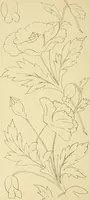 An illustration from Briggs & Co.'s patent transferring papers : protected by Her Most Gracious Majesty's royal letters patent (1880)