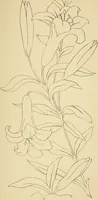 An illustration from Briggs & Co.'s patent transferring papers : protected by Her Most Gracious Majesty's royal letters patent (1880)