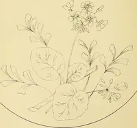An illustration from Briggs & Co.'s patent transferring papers : protected by Her Most Gracious Majesty's royal letters patent (1880)