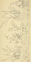 An illustration from Briggs & Co.'s patent transferring papers : protected by Her Most Gracious Majesty's royal letters patent (1880)