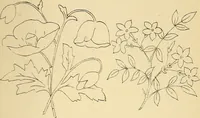 An illustration from Briggs & Co.'s patent transferring papers : protected by Her Most Gracious Majesty's royal letters patent (1880)
