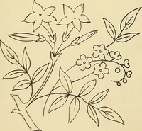 An illustration from Briggs & Co.'s patent transferring papers : protected by Her Most Gracious Majesty's royal letters patent (1880)
