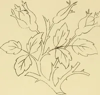 An illustration from Briggs & Co.'s patent transferring papers : protected by Her Most Gracious Majesty's royal letters patent (1880)