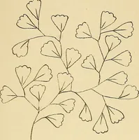 An illustration from Briggs & Co.'s patent transferring papers : protected by Her Most Gracious Majesty's royal letters patent (1880)