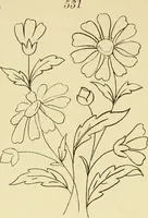 An illustration from Briggs & Co.'s patent transferring papers : protected by Her Most Gracious Majesty's royal letters patent (1880)
