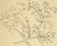An illustration from Briggs & Co.'s patent transferring papers : protected by Her Most Gracious Majesty's royal letters patent (1880)