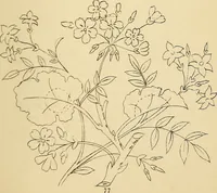 An illustration from Briggs & Co.'s patent transferring papers : protected by Her Most Gracious Majesty's royal letters patent (1880)
