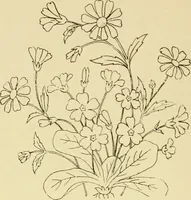 An illustration from Briggs & Co.'s patent transferring papers : protected by Her Most Gracious Majesty's royal letters patent (1880)