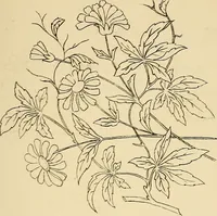 An illustration from Briggs & Co.'s patent transferring papers : protected by Her Most Gracious Majesty's royal letters patent (1880)