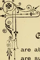 An illustration from Briggs & Co.'s patent transferring papers : protected by Her Most Gracious Majesty's royal letters patent (1880)