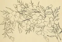 An illustration from Briggs & Co.'s patent transferring papers : protected by Her Most Gracious Majesty's royal letters patent (1880)