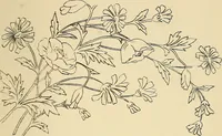 An illustration from Briggs & Co.'s patent transferring papers : protected by Her Most Gracious Majesty's royal letters patent (1880)