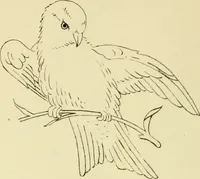 An illustration from Briggs & Co.'s patent transferring papers : patented for the United States of America (1880)