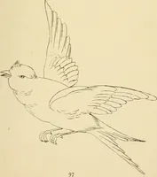 Picture 172 of 346 from Briggs & Co.'s patent transferring papers : patented for the United States of America (1880), leaf 106