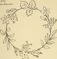 Picture 200 of 346 from Briggs & Co.'s patent transferring papers : patented for the United States of America (1880), leaf 120