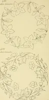 Picture 202 of 346 from Briggs & Co.'s patent transferring papers : patented for the United States of America (1880), leaf 121