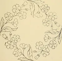 Picture 204 of 346 from Briggs & Co.'s patent transferring papers : patented for the United States of America (1880), leaf 122