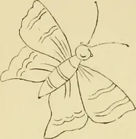 An illustration from Briggs & Co.'s patent transferring papers : patented for the United States of America (1880)