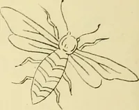 Picture 210 of 346 from Briggs & Co.'s patent transferring papers : patented for the United States of America (1880), leaf 125