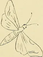 Picture 211 of 346 from Briggs & Co.'s patent transferring papers : patented for the United States of America (1880), leaf 125