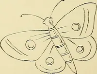 Picture 212 of 346 from Briggs & Co.'s patent transferring papers : patented for the United States of America (1880), leaf 125