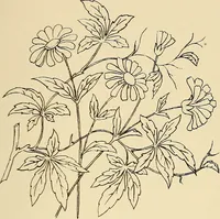 An illustration from Briggs & Co.'s patent transferring papers : patented for the United States of America (1880)