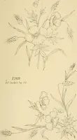 Picture 219 of 346 from Briggs & Co.'s patent transferring papers : patented for the United States of America (1880), leaf 130