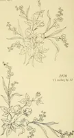 Picture 220 of 346 from Briggs & Co.'s patent transferring papers : patented for the United States of America (1880), leaf 131