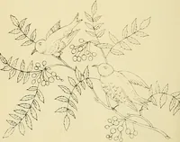 Picture 222 of 346 from Briggs & Co.'s patent transferring papers : patented for the United States of America (1880), leaf 133