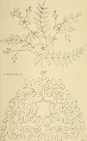 Picture 223 of 346 from Briggs & Co.'s patent transferring papers : patented for the United States of America (1880), leaf 134