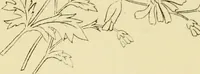 Picture 227 of 346 from Briggs & Co.'s patent transferring papers : patented for the United States of America (1880), leaf 137