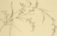 Picture 229 of 346 from Briggs & Co.'s patent transferring papers : patented for the United States of America (1880), leaf 138