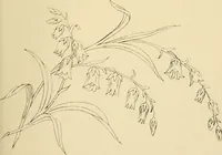 Picture 230 of 346 from Briggs & Co.'s patent transferring papers : patented for the United States of America (1880), leaf 138