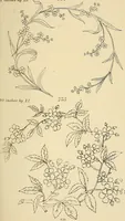 Picture 232 of 346 from Briggs & Co.'s patent transferring papers : patented for the United States of America (1880), leaf 140